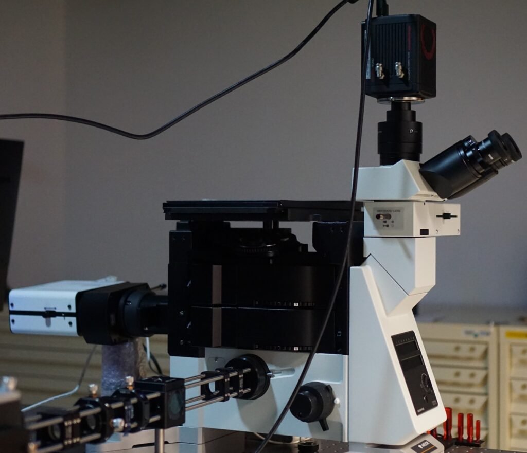 Evident IX73 inverted optical microscope in the KahmannLab